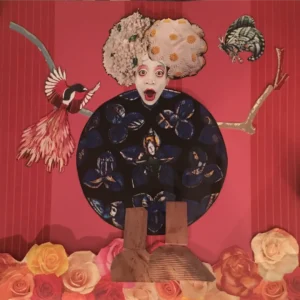 Collage II